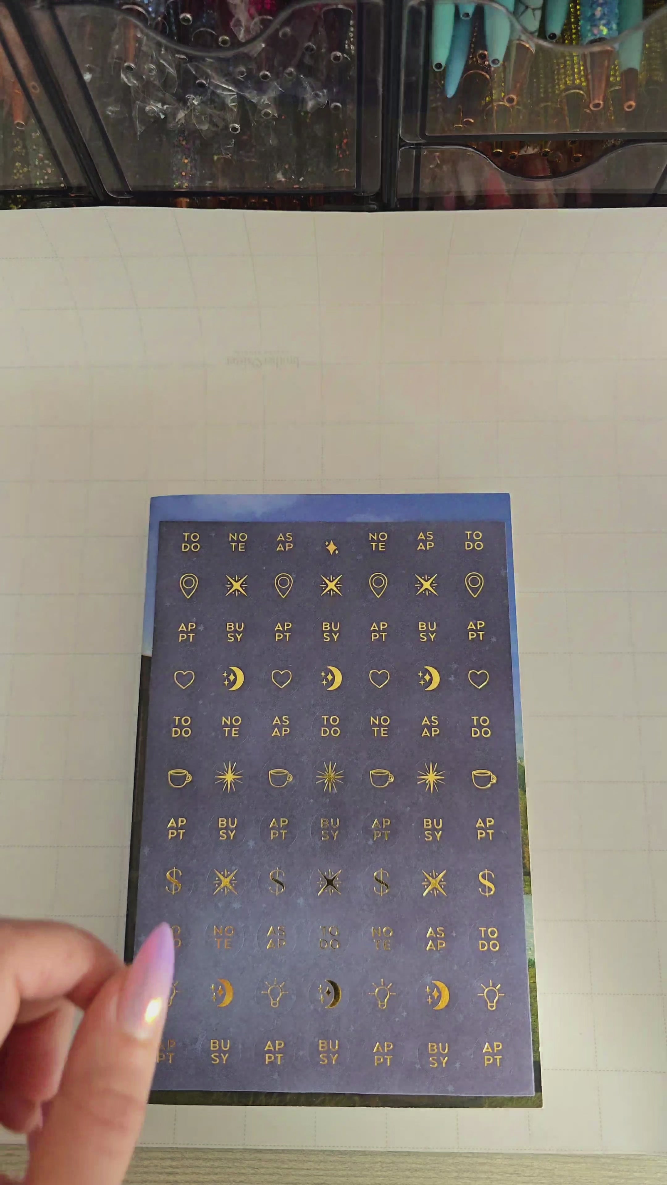 Blind Date with a Book